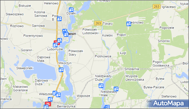 mapa Piotrkowice gmina Ślesin, Piotrkowice gmina Ślesin na mapie Targeo
