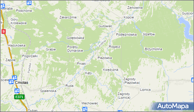 mapa Płazówka gmina Dzikowiec, Płazówka gmina Dzikowiec na mapie Targeo