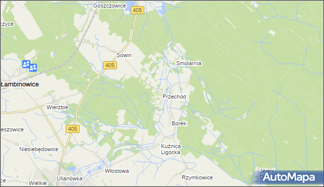 mapa Przechód gmina Korfantów, Przechód gmina Korfantów na mapie Targeo