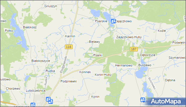 mapa Psarki gmina Pniewy, Psarki gmina Pniewy na mapie Targeo