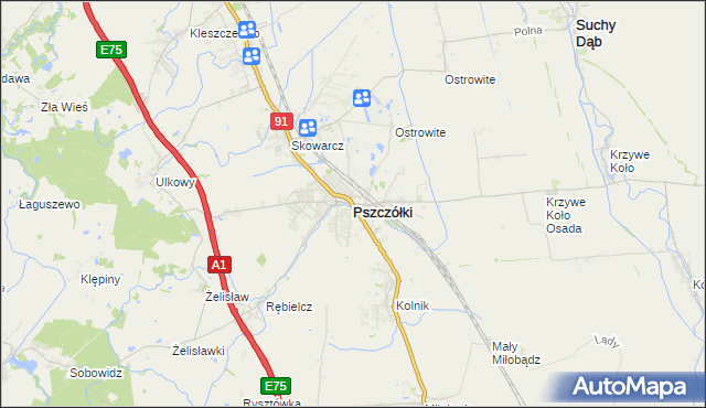 mapa Pszczółki powiat gdański, Pszczółki powiat gdański na mapie Targeo