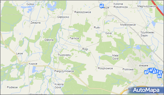 mapa Rogi gmina Niemodlin, Rogi gmina Niemodlin na mapie Targeo