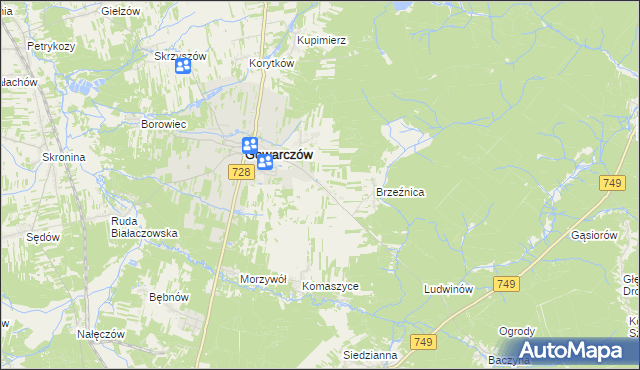 mapa Rogówek gmina Gowarczów, Rogówek gmina Gowarczów na mapie Targeo