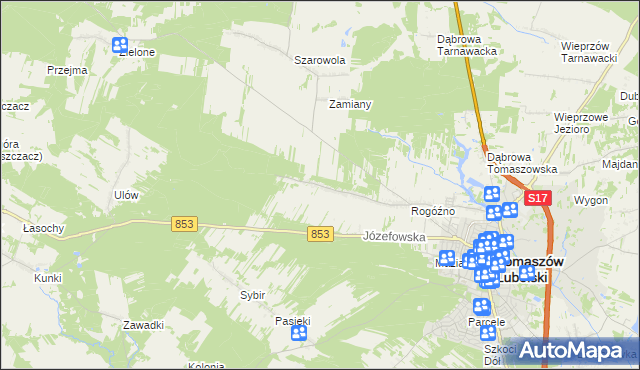 mapa Rogóźno-Kolonia, Rogóźno-Kolonia na mapie Targeo