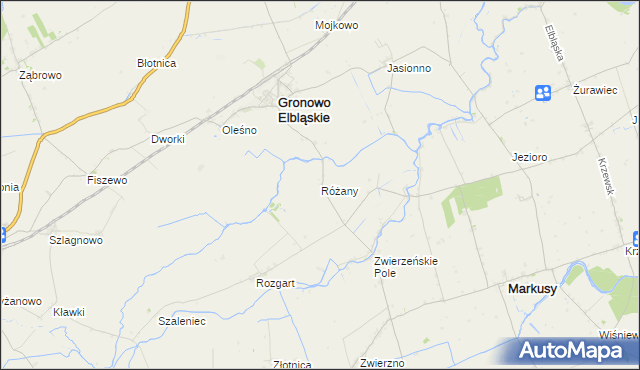 mapa Różany gmina Gronowo Elbląskie, Różany gmina Gronowo Elbląskie na mapie Targeo