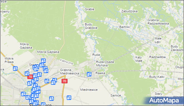 mapa Ruda gmina Skierniewice, Ruda gmina Skierniewice na mapie Targeo