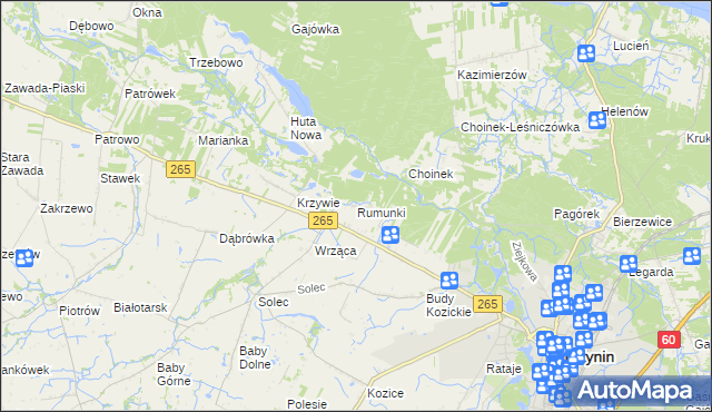 mapa Rumunki gmina Gostynin, Rumunki gmina Gostynin na mapie Targeo