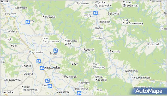 mapa Rzepnik, Rzepnik na mapie Targeo