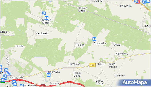 mapa Siedlec gmina Izbicko, Siedlec gmina Izbicko na mapie Targeo