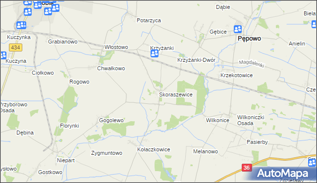 mapa Skoraszewice, Skoraszewice na mapie Targeo