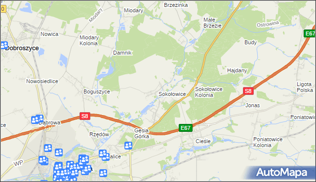 mapa Sokołowice gmina Oleśnica, Sokołowice gmina Oleśnica na mapie Targeo