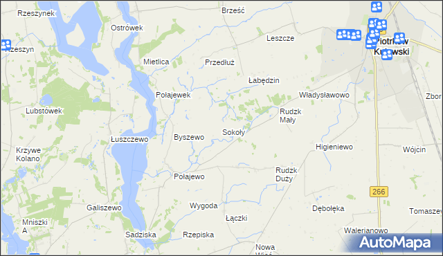 mapa Sokoły gmina Piotrków Kujawski, Sokoły gmina Piotrków Kujawski na mapie Targeo
