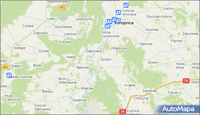 mapa Strobin, Strobin na mapie Targeo