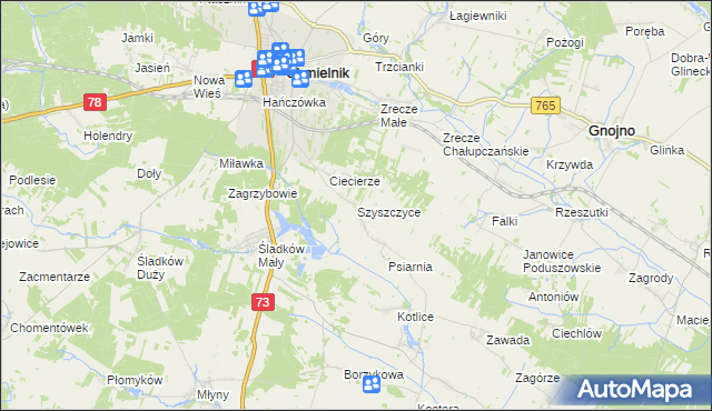 mapa Szyszczyce gmina Chmielnik, Szyszczyce gmina Chmielnik na mapie Targeo