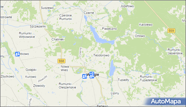 mapa Teodorowo gmina Wielgie, Teodorowo gmina Wielgie na mapie Targeo