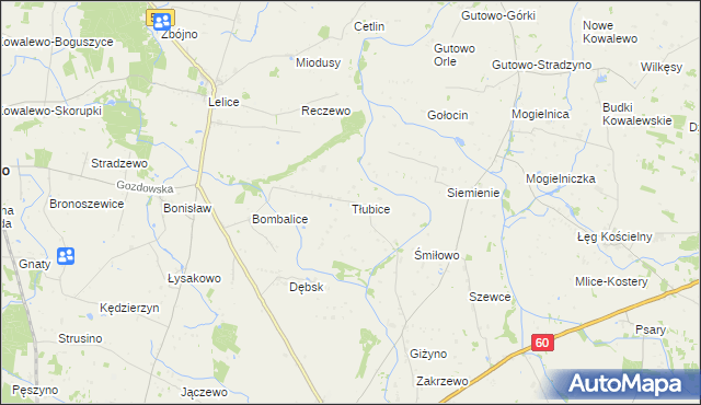 mapa Tłubice, Tłubice na mapie Targeo