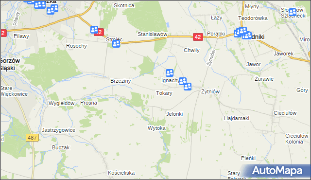 mapa Tokary gmina Praszka, Tokary gmina Praszka na mapie Targeo