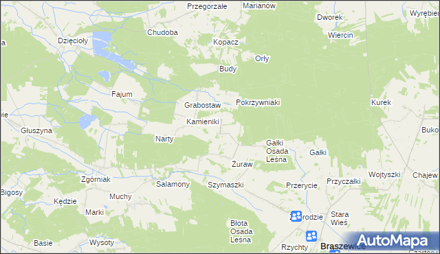 mapa Trzcinka gmina Brąszewice, Trzcinka gmina Brąszewice na mapie Targeo