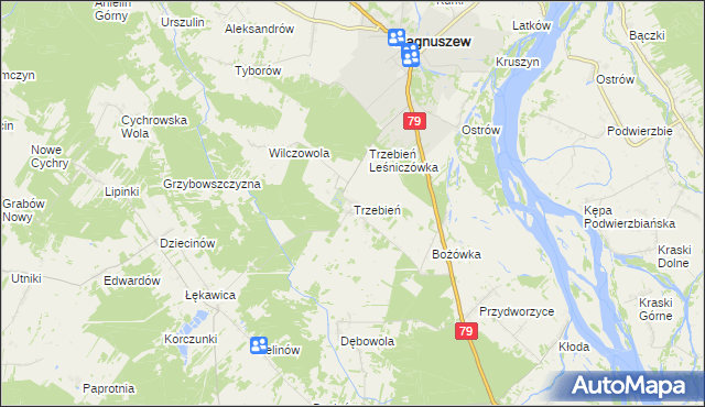 mapa Trzebień gmina Magnuszew, Trzebień gmina Magnuszew na mapie Targeo