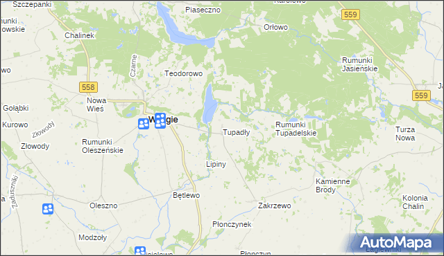 mapa Tupadły gmina Wielgie, Tupadły gmina Wielgie na mapie Targeo