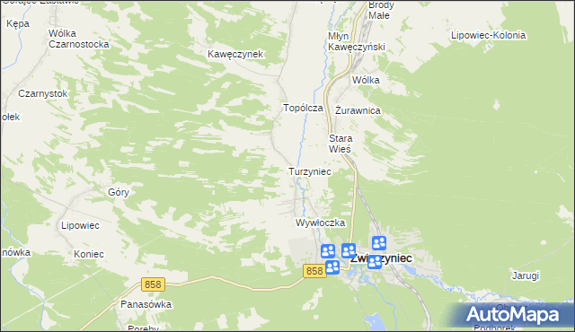 mapa Turzyniec gmina Zwierzyniec, Turzyniec gmina Zwierzyniec na mapie Targeo