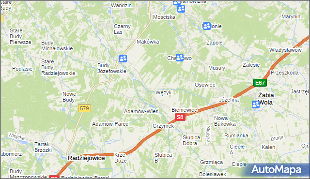 mapa Wężyk, Wężyk na mapie Targeo