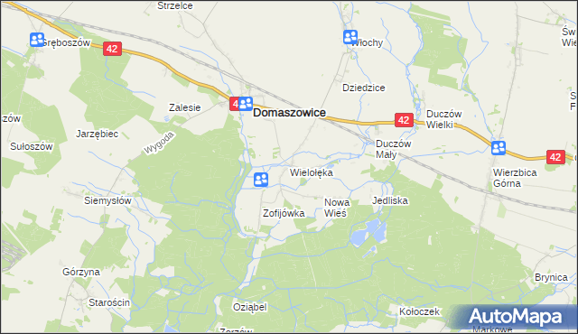 mapa Wielołęka gmina Domaszowice, Wielołęka gmina Domaszowice na mapie Targeo