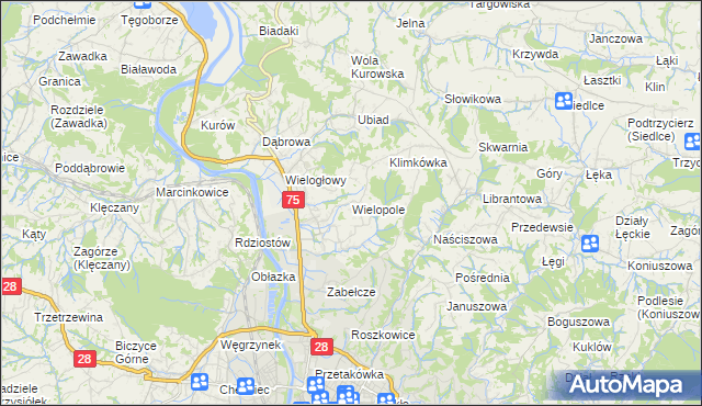 mapa Wielopole gmina Chełmiec, Wielopole gmina Chełmiec na mapie Targeo
