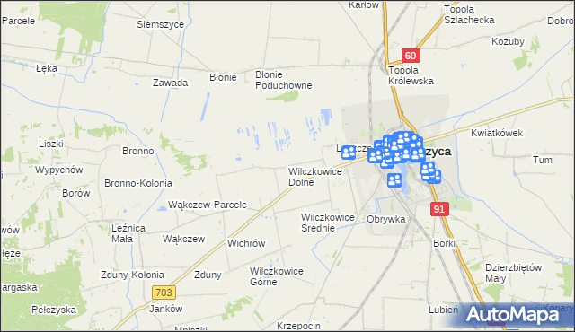 mapa Wilczkowice Dolne gmina Łęczyca, Wilczkowice Dolne gmina Łęczyca na mapie Targeo