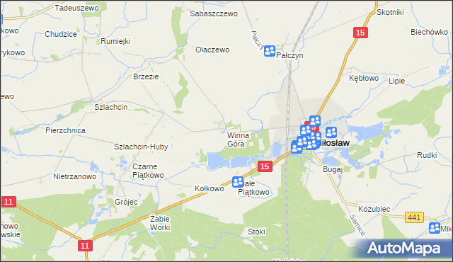 mapa Winna Góra gmina Środa Wielkopolska, Winna Góra gmina Środa Wielkopolska na mapie Targeo