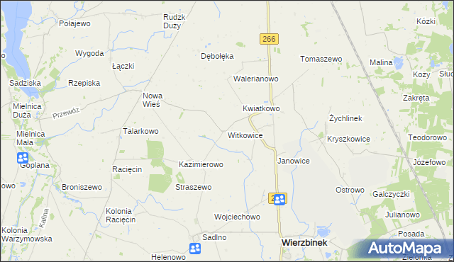 mapa Witkowice gmina Wierzbinek, Witkowice gmina Wierzbinek na mapie Targeo