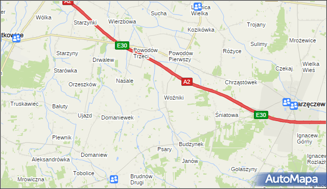 mapa Woźniki gmina Dalików, Woźniki gmina Dalików na mapie Targeo