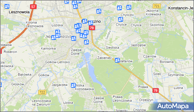 mapa Żabieniec gmina Piaseczno, Żabieniec gmina Piaseczno na mapie Targeo