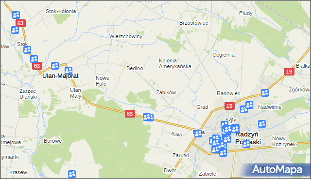 mapa Żabików gmina Radzyń Podlaski, Żabików gmina Radzyń Podlaski na mapie Targeo