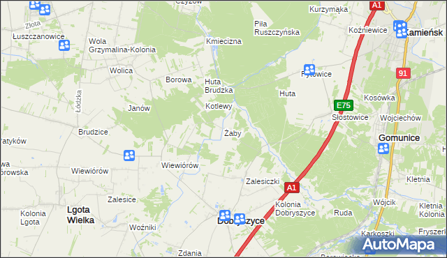 mapa Żaby gmina Dobryszyce, Żaby gmina Dobryszyce na mapie Targeo