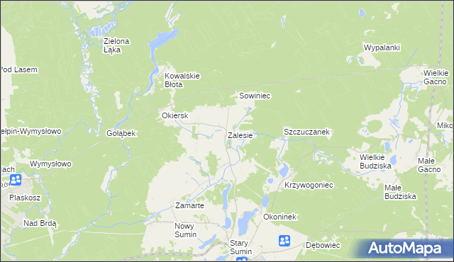 mapa Zalesie gmina Cekcyn, Zalesie gmina Cekcyn na mapie Targeo