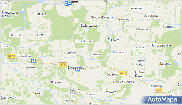 mapa Zalesie gmina Drużbice, Zalesie gmina Drużbice na mapie Targeo