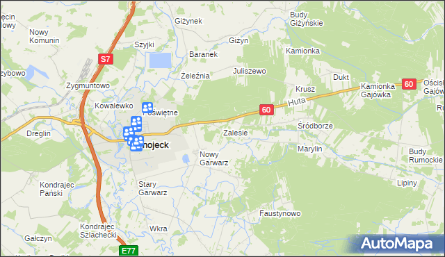 mapa Zalesie gmina Glinojeck, Zalesie gmina Glinojeck na mapie Targeo