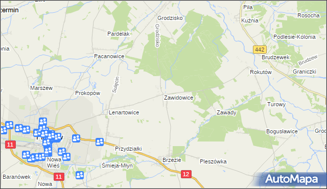 mapa Zawidowice gmina Pleszew, Zawidowice gmina Pleszew na mapie Targeo