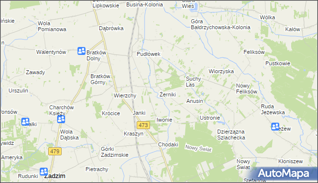 mapa Żerniki gmina Zadzim, Żerniki gmina Zadzim na mapie Targeo