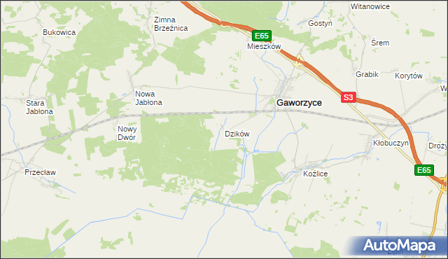 mapa Dzików gmina Gaworzyce, Dzików gmina Gaworzyce na mapie Targeo