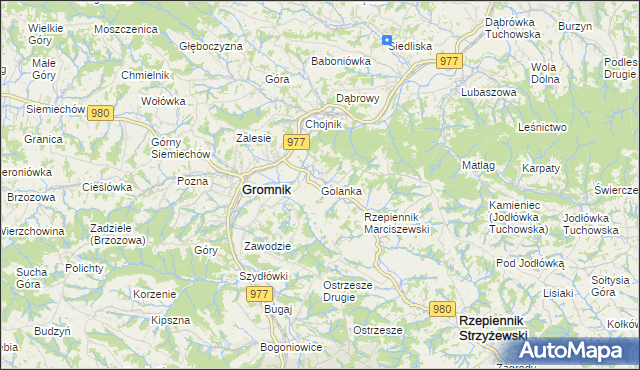 mapa Golanka gmina Gromnik, Golanka gmina Gromnik na mapie Targeo