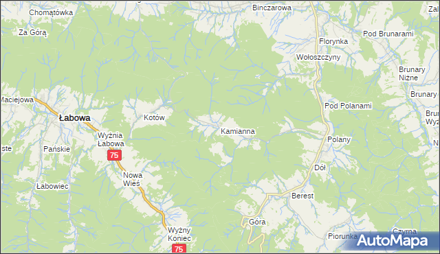 mapa Kamianna, Kamianna na mapie Targeo