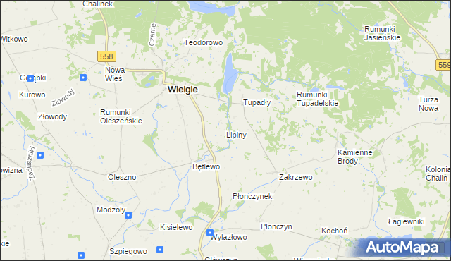 mapa Lipiny gmina Wielgie, Lipiny gmina Wielgie na mapie Targeo