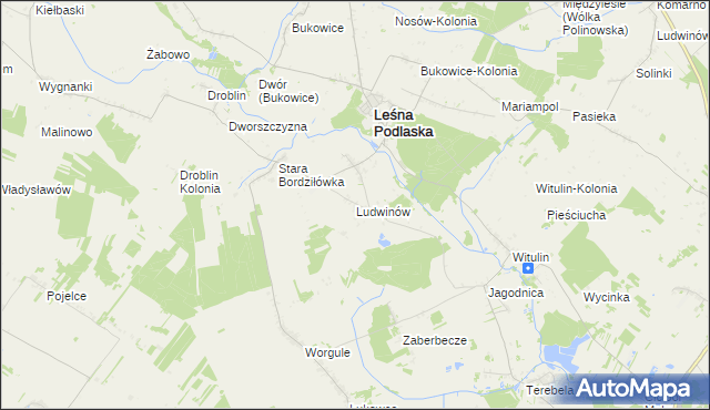 mapa Ludwinów gmina Leśna Podlaska, Ludwinów gmina Leśna Podlaska na mapie Targeo