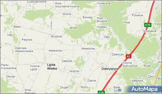 mapa Wiewiórów gmina Dobryszyce, Wiewiórów gmina Dobryszyce na mapie Targeo