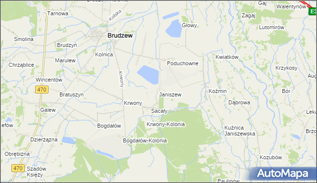 mapa Janiszew gmina Brudzew, Janiszew gmina Brudzew na mapie Targeo