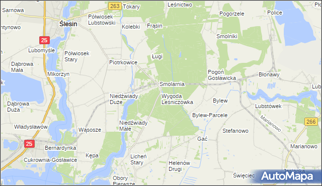 mapa Wygoda Leśniczówka gmina Ślesin, Wygoda Leśniczówka gmina Ślesin na mapie Targeo