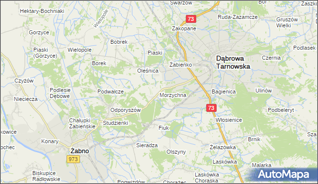 mapa Morzychna, Morzychna na mapie Targeo