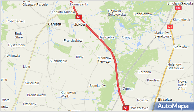 mapa Niedrzew Pierwszy, Niedrzew Pierwszy na mapie Targeo